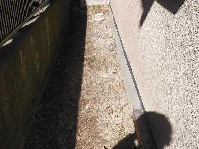 ■伐採作業でお困りの方ご相談下さい【問題解決･改善提案】いたします■サービスの画像