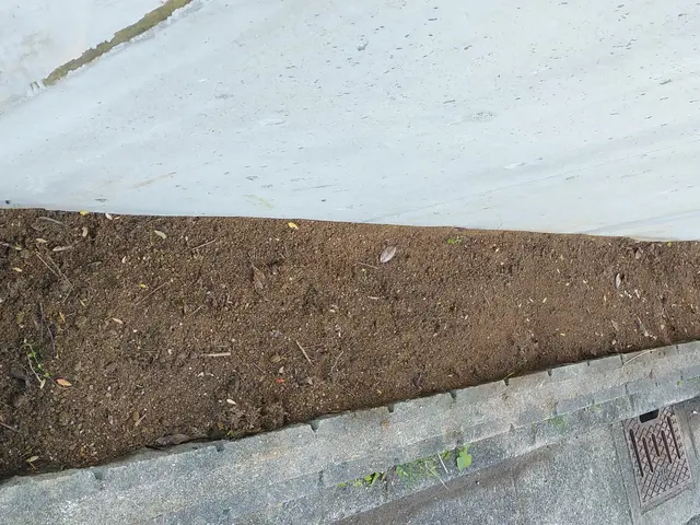 ■伐採作業でお困りの方ご相談下さい【問題解決･改善提案】いたします■サービスの画像