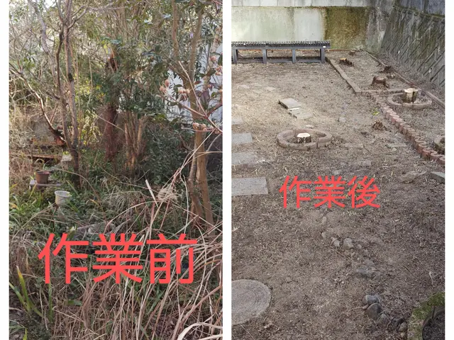 ■伐採作業でお困りの方ご相談下さい【問題解決･改善提案】いたします■サービスの画像