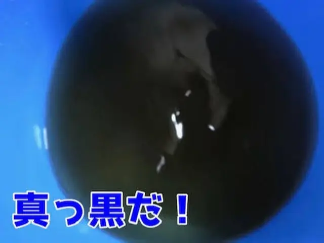 ●抗菌コート消臭スプレーサービス！●2台目から激安！今月だけの特別価格です。サービスの画像