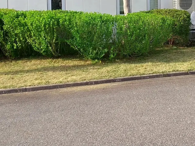 【舞鶴発】25年以上の2級造園施工管理技士が対応致します◎お気軽にご相談くださいサービスの画像