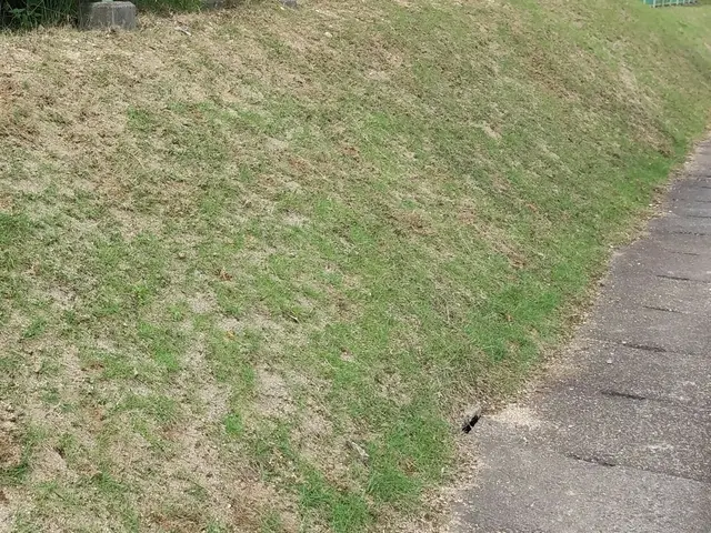 【舞鶴発】25年以上の2級造園施工管理技士が対応致します◎お気軽にご相談くださいサービスの画像