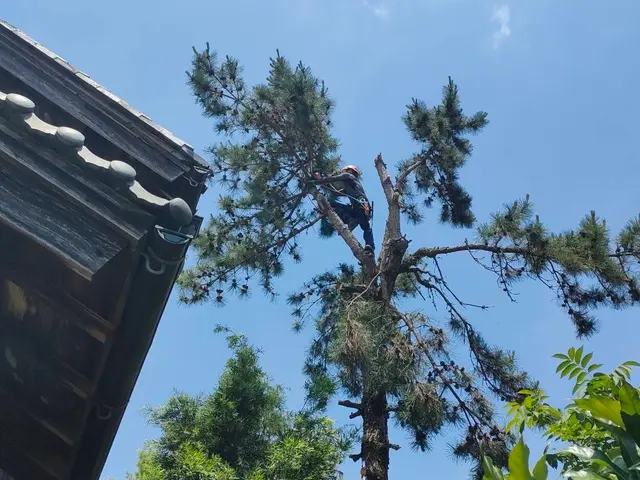 まずは「このサービスについて質問する」から写真ください。事前見積もりからさせてくサービスの画像