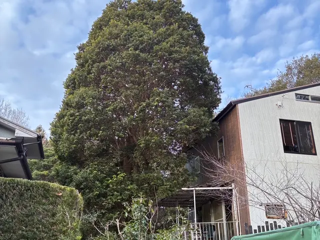 まず「このサービスについて質問する」から写真ください。事前見積もりからです！サービスの画像