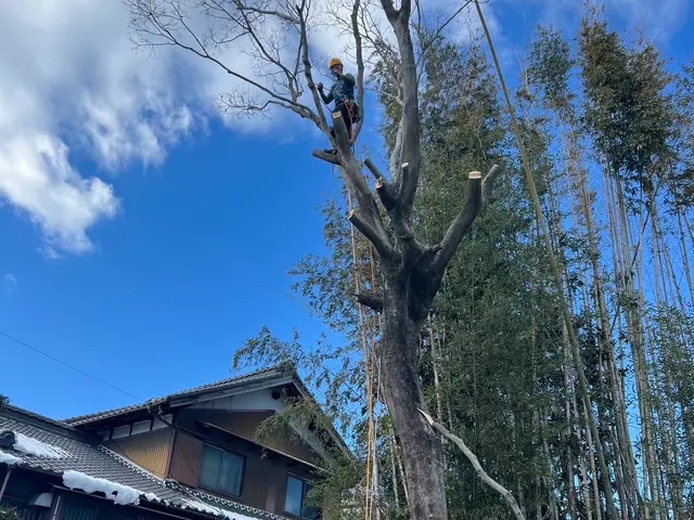 まずは「このサービスについて質問する」から写真ください。事前見積もりからさせてくサービスの画像