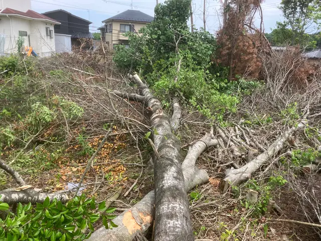 まずは「このサービスについて質問する」から写真ください。事前見積もりからさせてくサービスの画像