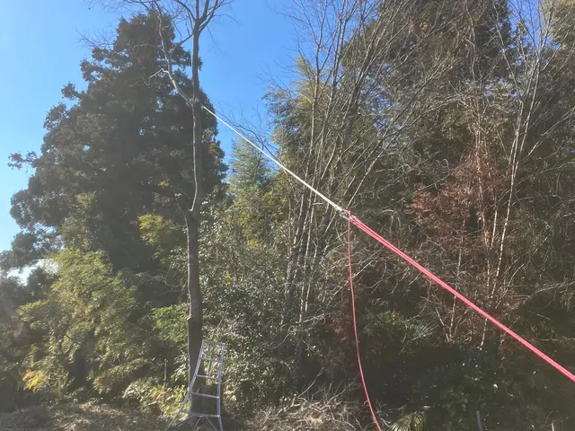 まずは「このサービスについて質問する」から写真ください。事前見積もりからさせてくサービスの画像