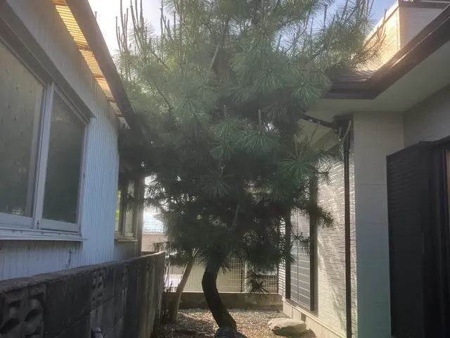 まずは「このサービスについて質問する」から写真ください。事前見積もりからさせてくサービスの画像