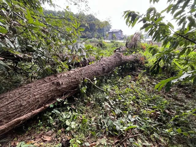 豊富な経験と知識で安心！仕上がり重視で丁寧に施工いたします！サービスの画像