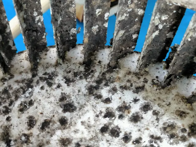 【沖縄県】＊感謝キャンペーン▲複数割引中◉カビ対策洗浄●安心エコ洗剤使用サービスの画像