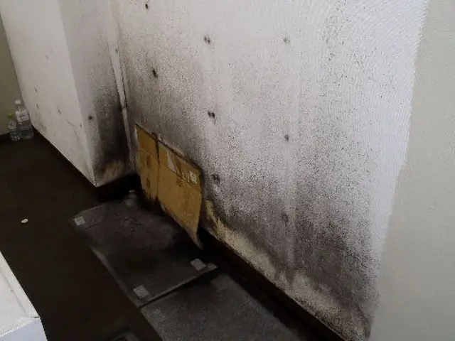 クロスクリーニングサービスの画像