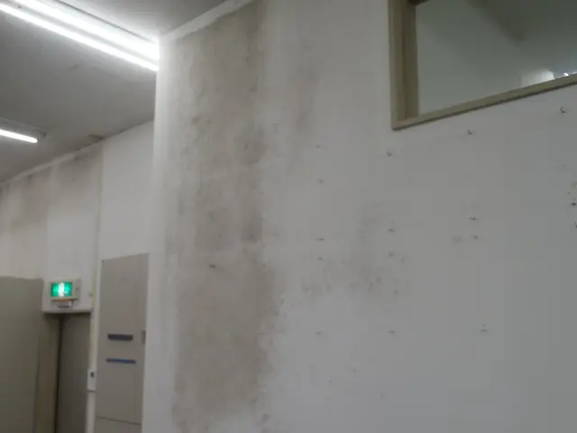 クロスクリーニングサービスの画像