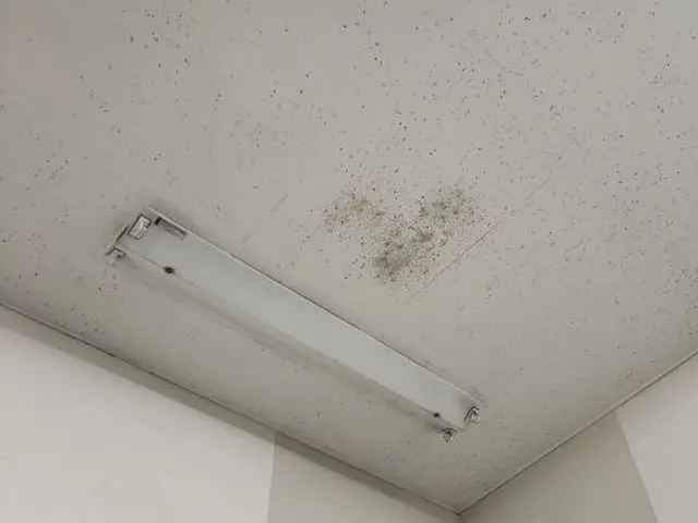 クロスクリーニング(紙.布クロスは基本NGとなります)サービスの画像