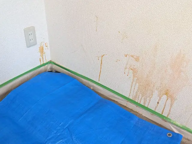 クロスクリーニング(紙.布クロスは基本NGとなります)サービスの画像