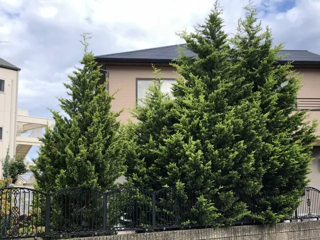 【年中無休】土日祝もご予約大歓迎◆大坂府泉州中心・地域密着店舗◆サービスの画像