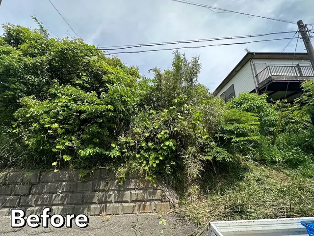 安心の料金説明！丁寧な作業で満足度抜群！伐採のプロにお任せください！サービスの画像