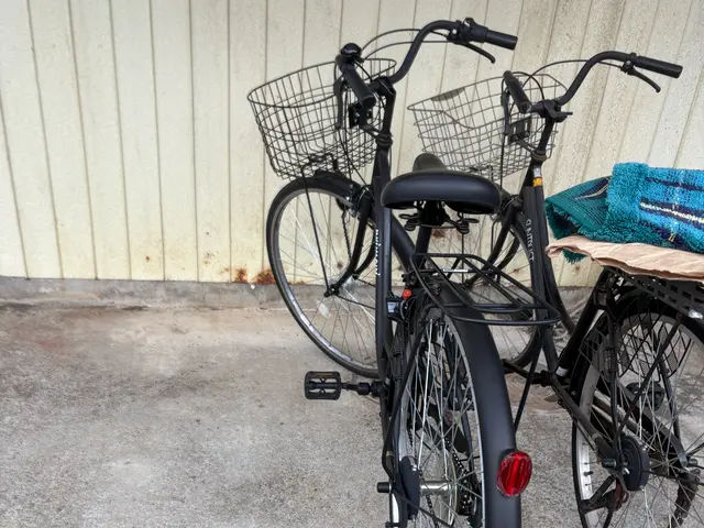 ★自転車輸送　★長距離可★ 中国語　英語対応可　本日相談可　同乗可サービスの画像