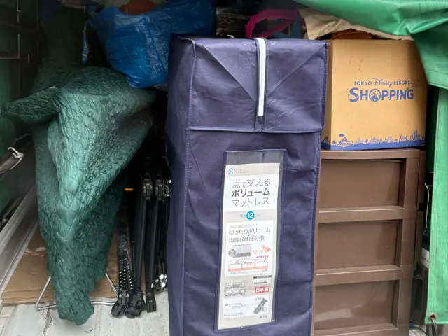 ★自転車輸送　★長距離可★ 中国語　英語対応可　本日相談可　同乗可サービスの画像