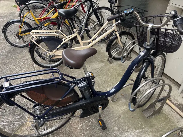 ★自転車輸送　★長距離可★ 中国語　英語対応可　本日相談可　同乗可サービスの画像