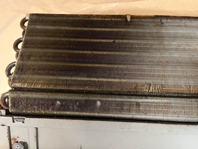 ☆経験年数20年＊年間1000件以上の実績☆損害保険加入済み☆サービスの画像