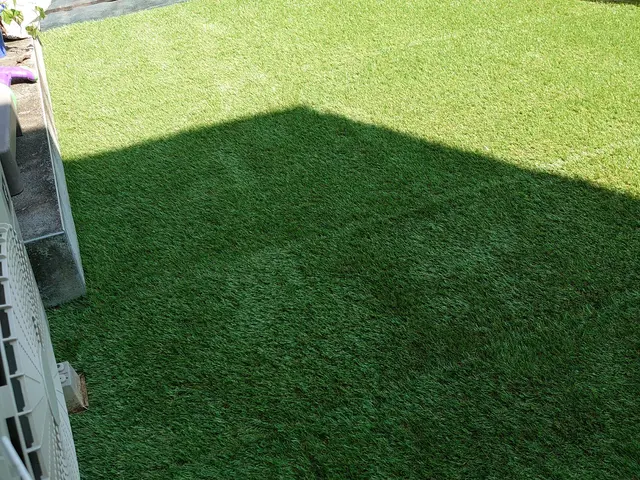 お庭を鮮やかなグリーンに!!雑草、害虫対策!![実績20年以上8月〜対応可能サービスの画像