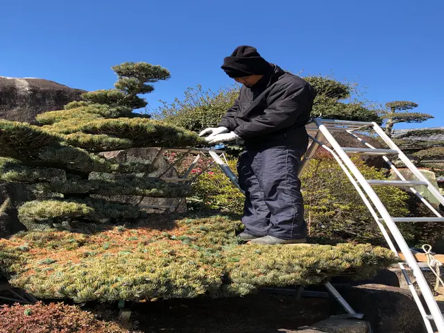 【業歴22年の経験と実績】年中無休◎地域密着店◎自社スタッフがお伺いしますサービスの画像