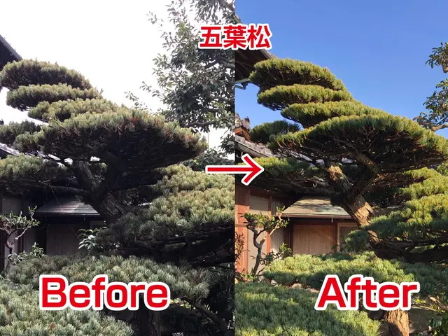 【業歴22年の経験と実績】年中無休◎地域密着店◎自社スタッフがお伺いしますサービスの画像