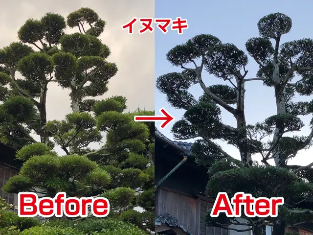 【業歴22年の経験と実績】年中無休◎地域密着店◎自社スタッフがお伺いしますサービスの画像