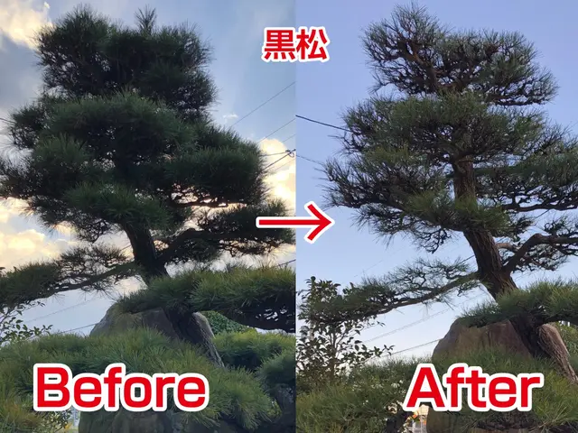 【業歴22年の経験と実績】年中無休◎地域密着店◎自社スタッフがお伺いしますサービスの画像