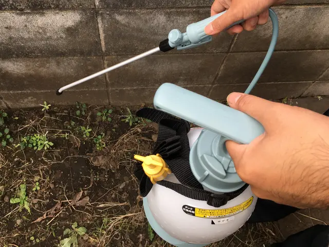 クモ駆除・予防■害虫・害獣駆除専門業者です／4LDK以上も最大料金27,000円サービスの画像