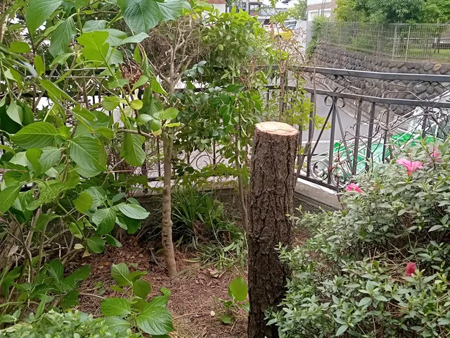 庭木の伐採、伐根サービスの画像