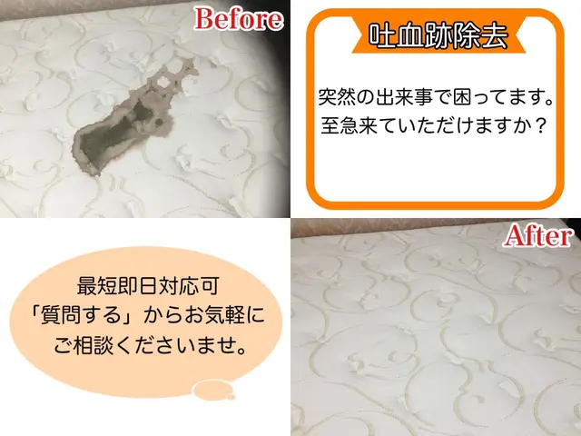 緊急のご相談24時間受付★インボイス対応★当日使用可★アルカリ電解水・エコ洗剤サービスの画像