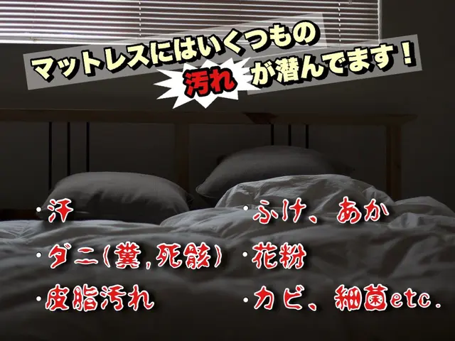 緊急のご相談24時間受付★インボイス対応★当日使用可★アルカリ電解水・エコ洗剤サービスの画像
