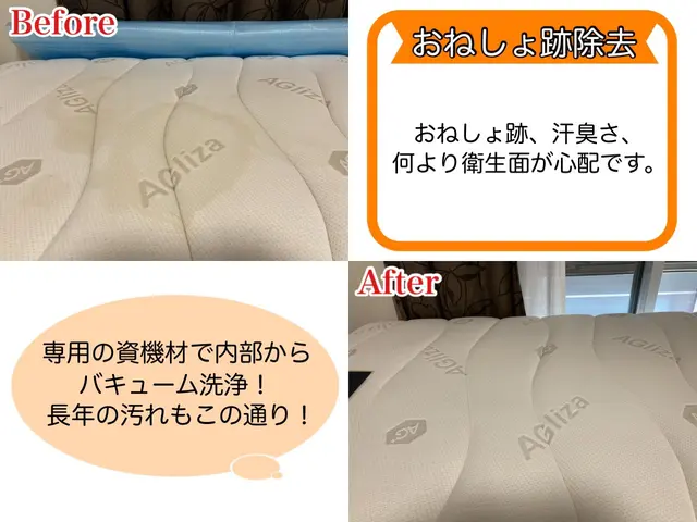緊急のご相談24時間受付★インボイス対応★当日使用可★アルカリ電解水・エコ洗剤サービスの画像