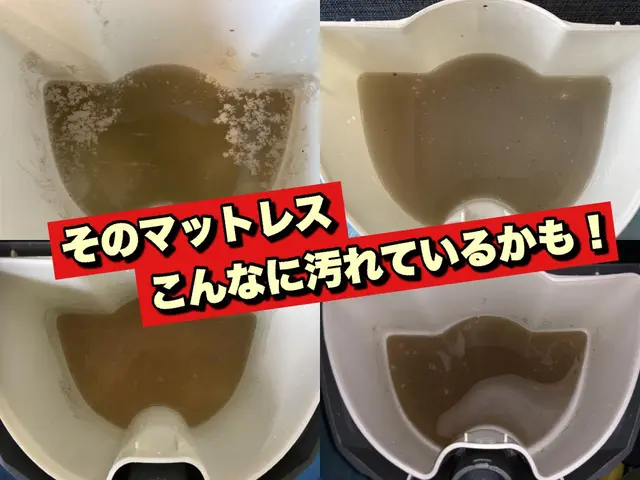 緊急のご相談24時間受付★インボイス対応★当日使用可★アルカリ電解水・エコ洗剤サービスの画像