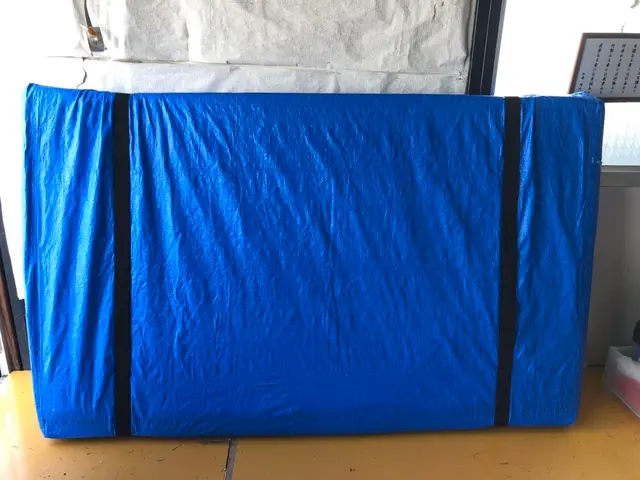 【2024年アワード入選】★☆引越のプロ☆★2トントラック15㎥★不用品回収可能サービスの画像