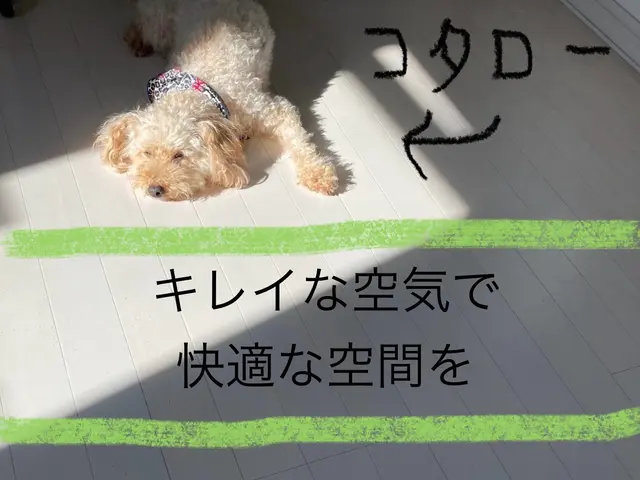 壁掛けエアコンクリーニング専門！電気工事士・大手家電メーカー経験者が対応！サービスの画像