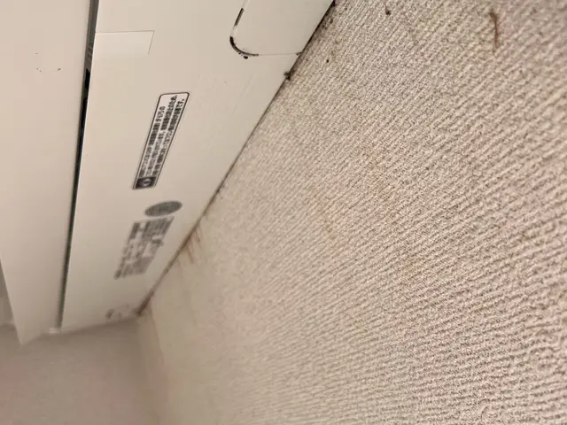 コウモリ追い出し及び侵入防止施工サービスの画像