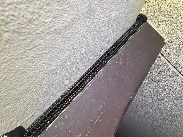 コウモリ追い出し及び侵入防止施工サービスの画像