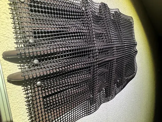 コウモリ追い出し及び侵入防止施工サービスの画像