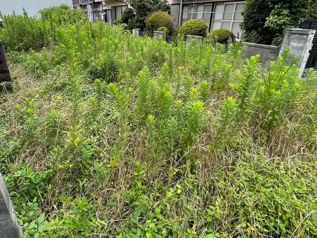 【空き地・庭・斜面もOK！】広い空き地大歓迎！サービスの画像