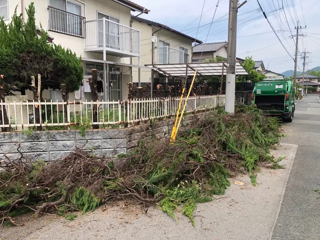 庭木のお手入れ専門店　親切丁寧スピーディーに対応　新規のお客様も大歓迎サービスの画像