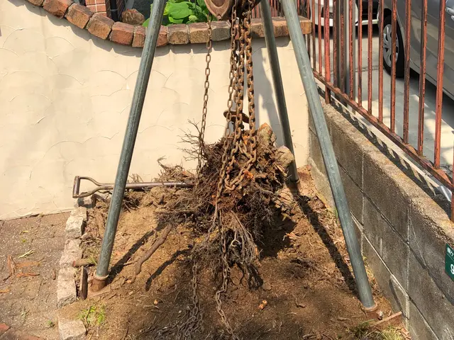 庭木のお手入れ専門店　親切丁寧スピーディーに対応　新規のお客様も大歓迎サービスの画像