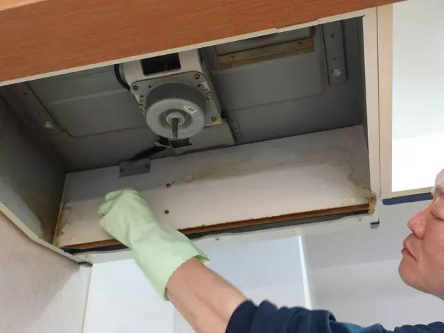 【水周り2点清掃】キッチンと換気扇、気になる2箇所を重点的に綺麗にします！サービスの画像