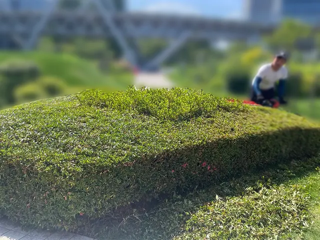 ご希望に沿って綺麗な形で仕上げます！サービスの画像