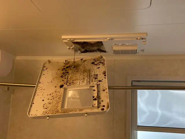 【30年の経験と実績で安心をお届けします！！】4名前後で一気に仕上げます！サービスの画像