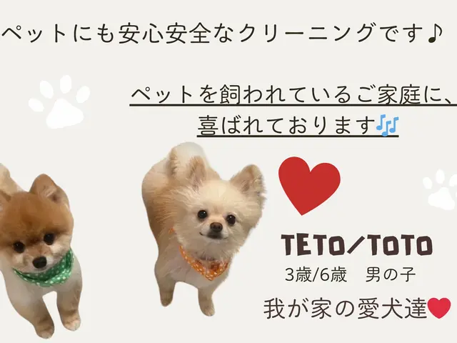 【子供/ペットの安全に特化】大手FC店◉2000件の実績◉自社開発洗剤で安心安全サービスの画像