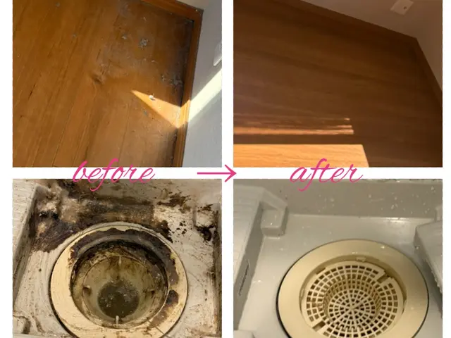 大掃除シーズンです！家事代行　お掃除！歴15年の現役掃除屋、元便利屋がお伺い！！サービスの画像