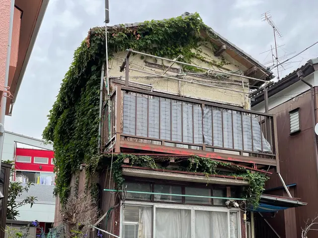 夏ツタ　ツタ取りお任せ下さいませ。サービスの画像