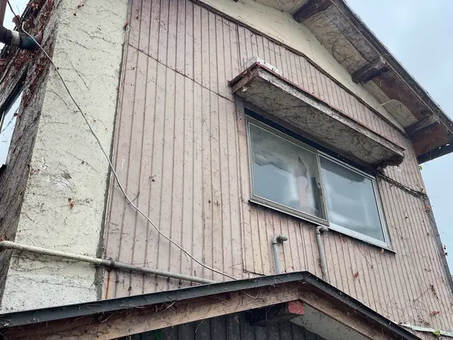 夏ツタ　ツタ取りお任せ下さいませ。サービスの画像